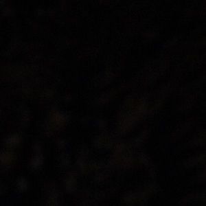 Meet your Posher, Alexa